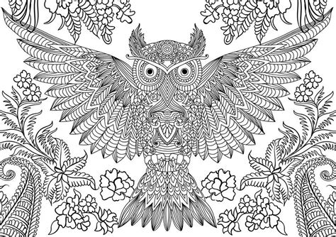difficult owl coloring page  adults httpprocoloringcom