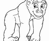 Coloring Gorilla Silverback Pages Mountain Bored Baby Getcolorings Getdrawings Colorings sketch template