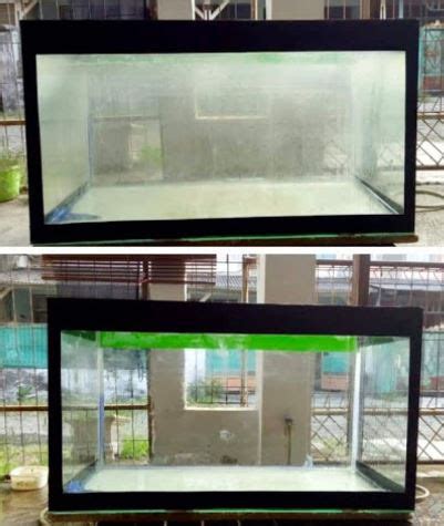 yahanana   ampuh bersihkan kerak kaca aquarium