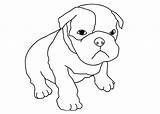 Welpen Ausmalbild Kostenlos Coloring Malvorlagen Ausdrucken Puppies Drucken Tocolor sketch template