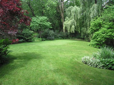 yard   amazing open grass space surrounded    ft weeping willow redbud