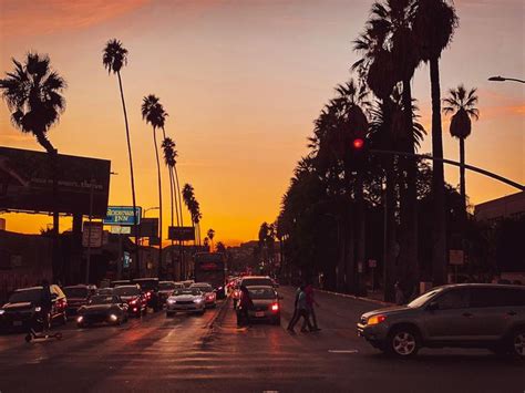 mitchell farmer news sunset boulevard los angeles