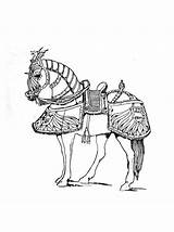 Coloring Armored Horses Pages sketch template
