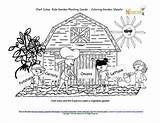 Sheet Planting Garden Kids Coloring Solus Seeds Chef Story Box Right sketch template