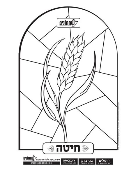 sukkot coloring book pages coloring pages