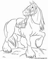 Horse Coloring Pages Printable Breyer Print Color Colouring Prints sketch template