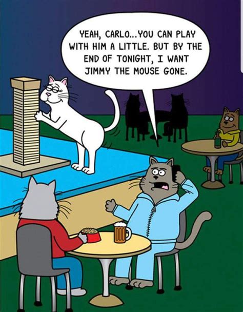 Pin By Sandy Ayres On Scott Metzger Cat Comics Cat Jokes Cartoon Cat