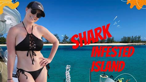 We Sail To A Shark Infested Island Lazy Gecko Sailing Vlog 239 Youtube