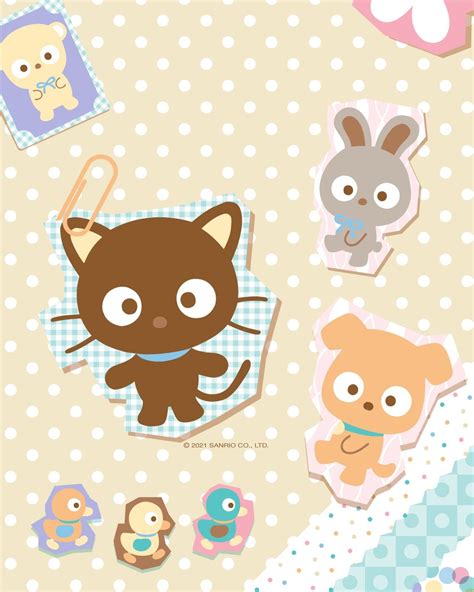 chococat wallpapers sanrio wallpaper sanrio characters  kitty