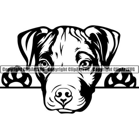 american pit bull  peeking puppy dog paw pet terrier breed etsy
