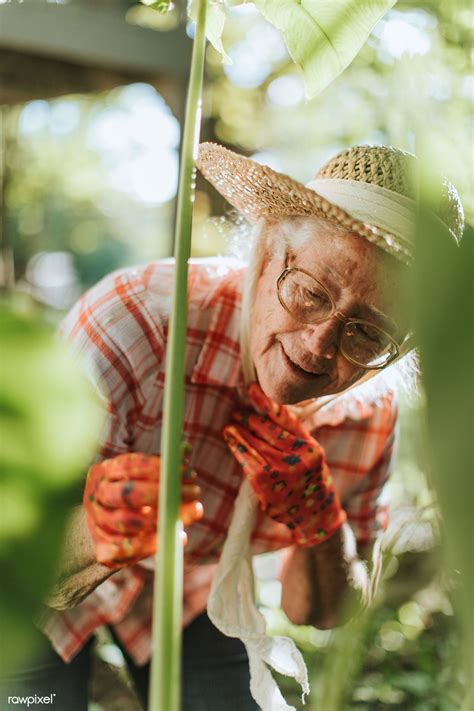 Senior Woman Tending To The Plants In Her Garden Premium Image By