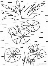 Lily Pad Coloring Pages Printable Template Kids Clipart Flower Drawing Cool2bkids Print Pads Water Lilly Clip Library Colouring Sheets Show sketch template