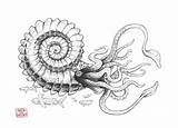 Ammonite Coloring Giant Sketch Designlooter Paintingvalley 7kb 1052 sketch template