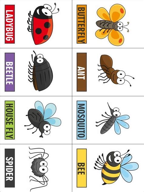 printable insect worksheet  preschool