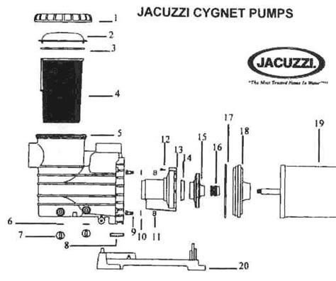 jacuzzi pool pump parts diagram general wiring diagram
