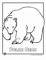 Bear Coloring Endangered Bears Artic Cub Number Bestcoloringpagesforkids Slipper Difficult Grown Ups Coloringhome Woojr Stencil Boys sketch template