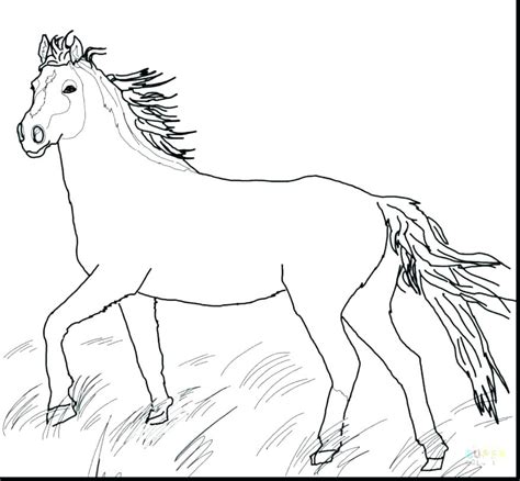 coloring pages wild horses  getdrawings