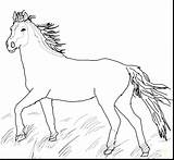 Horse Coloring Pages Mustang Quarter Printable Horses Pony Pretty Herd Wild Cute Getcolorings Color Running Print Realistic Getdrawings Colorings sketch template