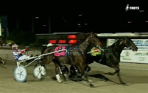 Trots Review Hammer Falls On Milestone As Big Jack S Back Harness