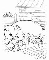 Coloring Pig Sleep Eat Lot After Animal Farm sketch template