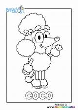 Bluey Poodle Mum 1st Xcolorings Rusty sketch template