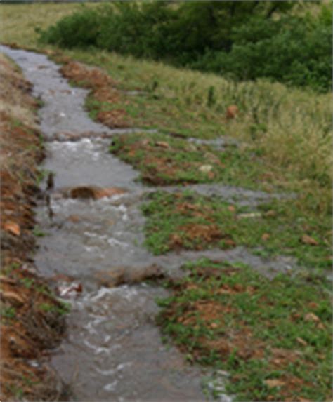 irrigated pasture management monitoring streams  protect human health effects  water