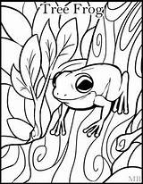 Rainforest Dart Poison Frogs sketch template
