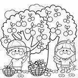 Coloring Kids Cherries Harvesting Book Picking Children Boy Girl Vector Illustration sketch template