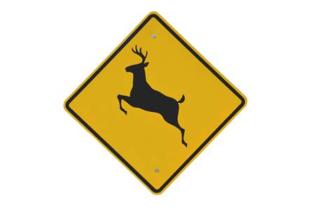 nj officials warn drivers   vigilant  rutting season nears peak