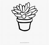 Succulent Coloring Line Clipart Clipartkey sketch template
