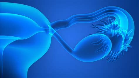 female infertility common causes omaha ne women and fertility