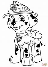 Chase Paw Patrol Drawing Coloring Pages Kids Getdrawings sketch template