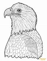 Coloring Eagle Pages Advanced Adult Printable Bald Hard Zentangle Adults Color Print Getcolorings Getdrawings Coloringpagesonly sketch template
