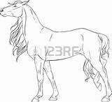 Mares Coloring Tails Designlooter Tail Standing Horse Illustration sketch template