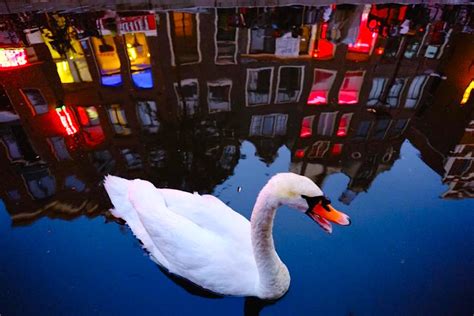 the best red light district tours in amsterdam amsterdam