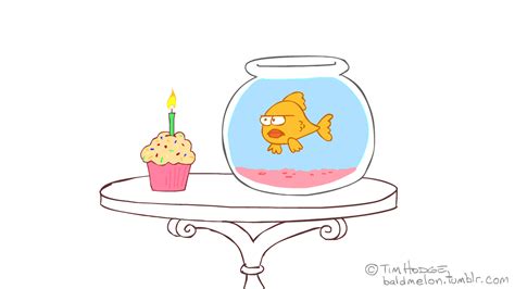 happy birthday animated gif image   gif images