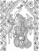 Peacock Coloring Portrait Pages Colouring Adult sketch template