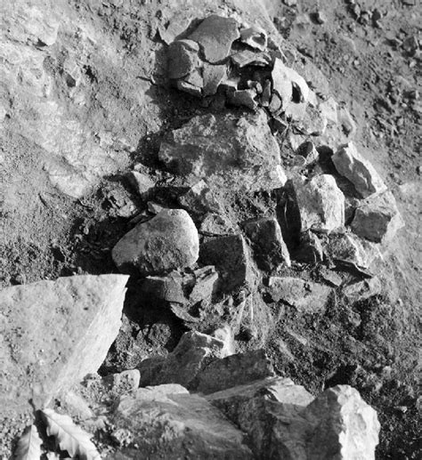 hoard   rudna glava dated  oxa   photo courtesy   scientific