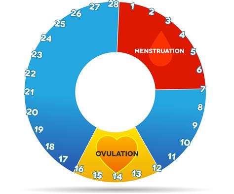 Bloating Breast Tenderness Or Cramps During Ovulation