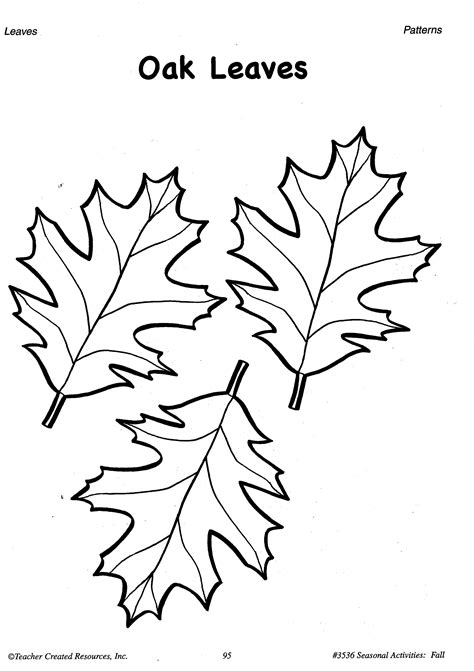 fall leaf template tree coloring page leaf template