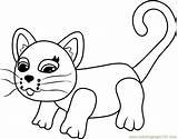 Coloring Siamese Pages Parade Pet Coloringpages101 sketch template