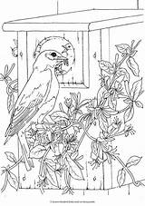 Coloring Birds Pages Dover Bird Book Publications Printable Animal Creative Adult Haven Books Sheets Color Doverpublications Beautiful Drawings Print Welcome sketch template