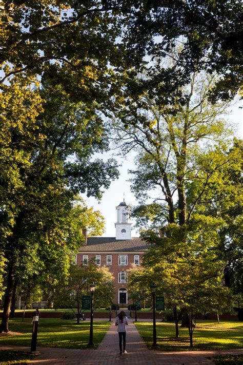 Ohio University Suspends Sororities After More Hazing Allegations
