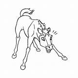 Spirit Coloring Pages Rain Stallion Drawing Cimarron Horse Printable Holy Riding Baby Color Print Getdrawings Colouring Drawings Polyvore Clipart Choose sketch template