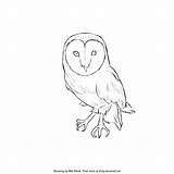 Owl Tootsie sketch template