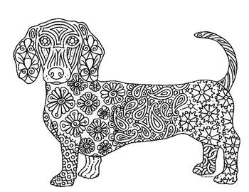 weiner dog coloring pages  coloring pages