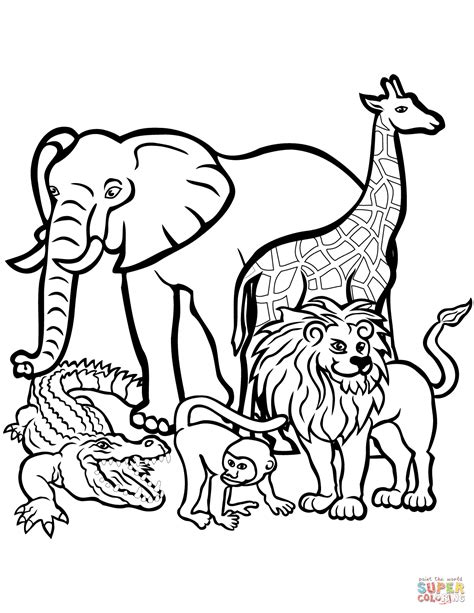 picture   animal coloring pages davemelillocom