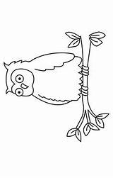 Owl Eule Malvorlage sketch template