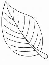 Leaf Coloring Pages Jungle sketch template