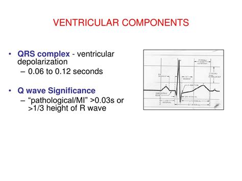 Ppt Approaching The Ecg Read Right In A Minute Powerpoint